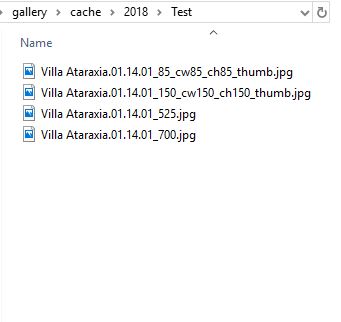 Cache Manager generated files