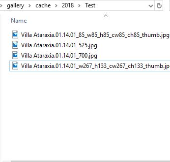 Live View, user generated cache files