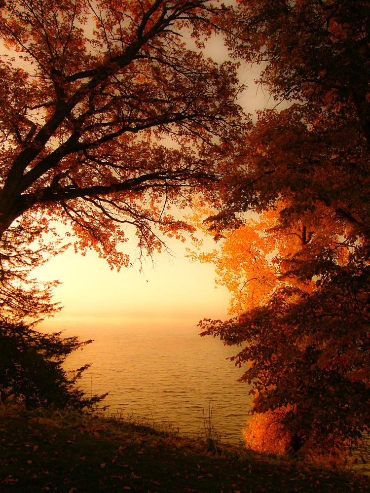 Fall color.10.08.03