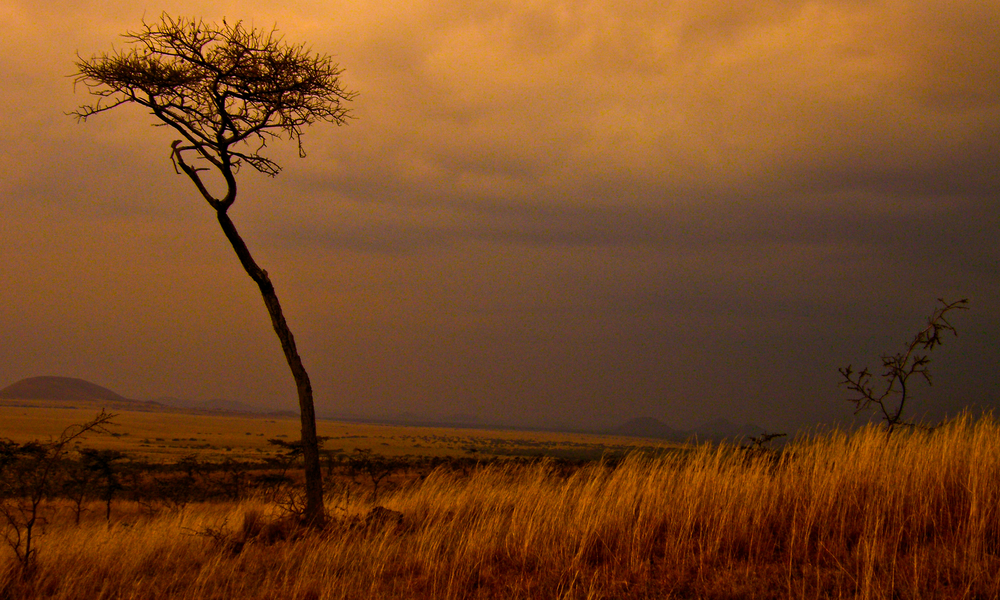 Kenya.06.07.05