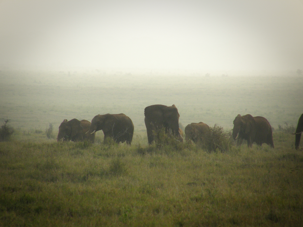Kenya.06.07.07