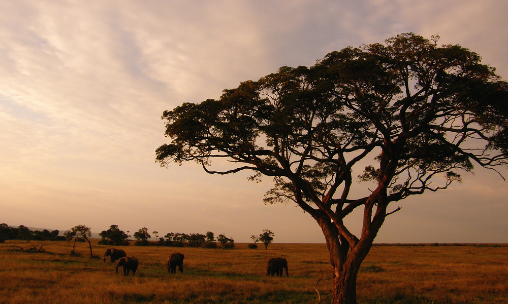 Kenya.06.07.09