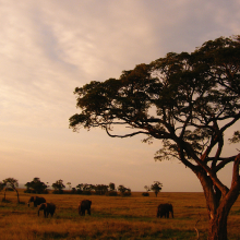 Kenya.06.07.09