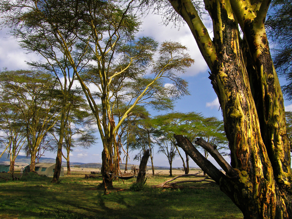 Kenya.06.07.11