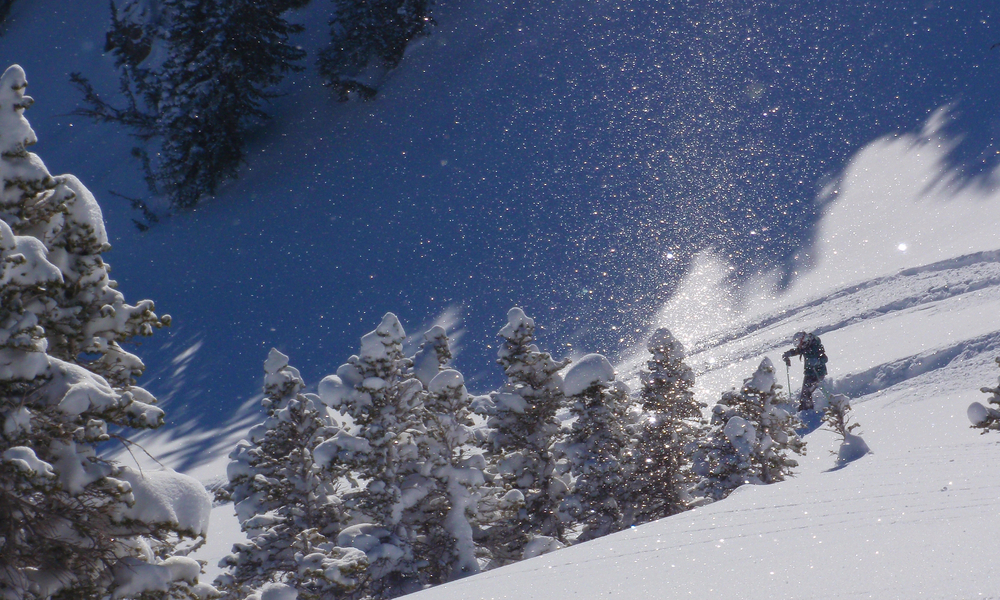 Powder Birds.12.09.13