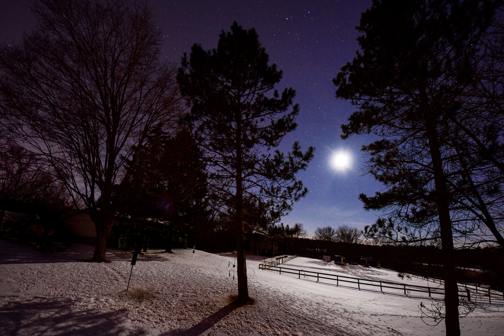 Starry night.02.16.01