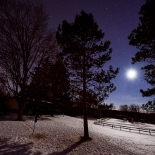 Starry night.02.16.01