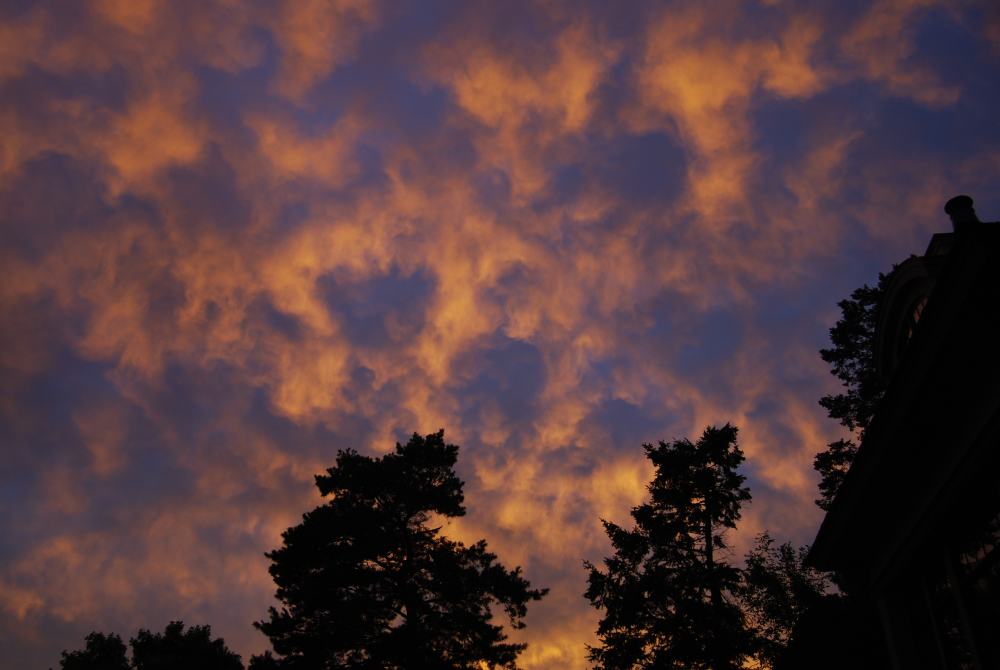Summerlight.08.12.01