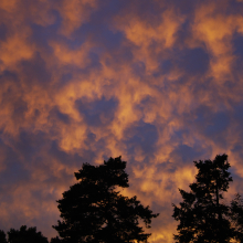 Summerlight.08.12.01