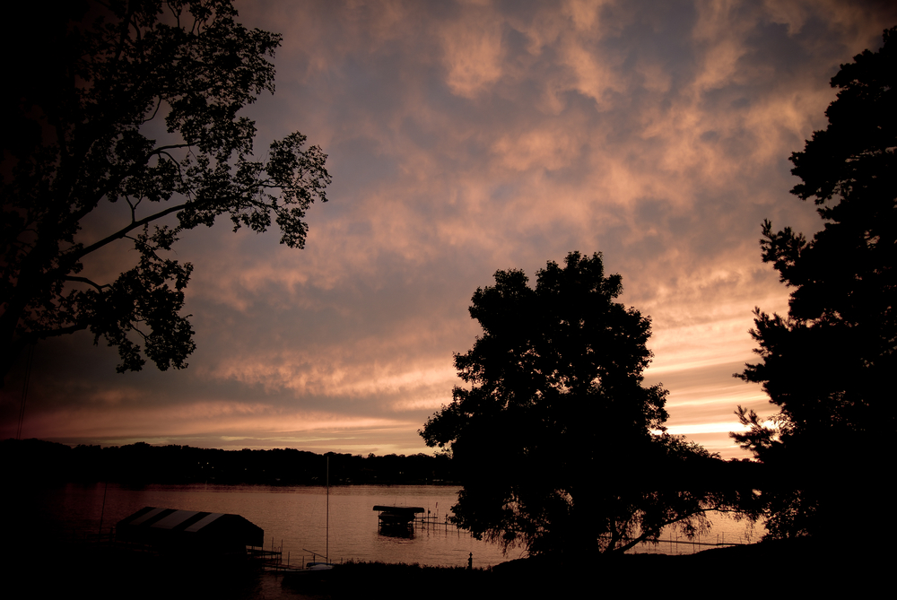 Summerlight.08.12.02