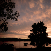 Summerlight.08.12.02