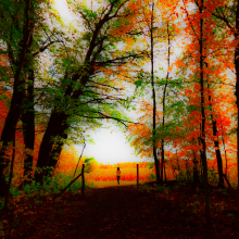 Walk in Whitney Woods.10.22.06