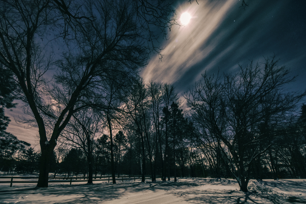 Winter's Tale.01.17.02