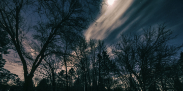 Light.12
